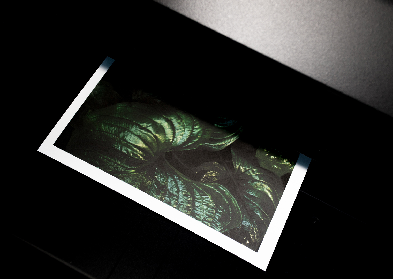 PostSort Aksell framkallning 1520 x 1080